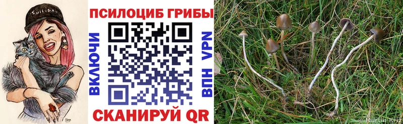 цена наркотик  Миньяр  Галлюциногенные грибы мухоморы 